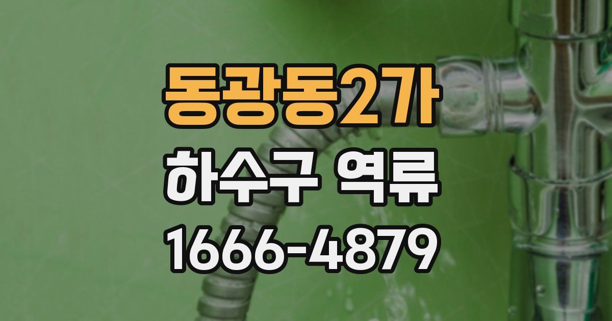 동광동2가 하수구 역류
