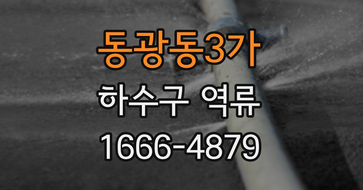 동광동3가 하수구 역류