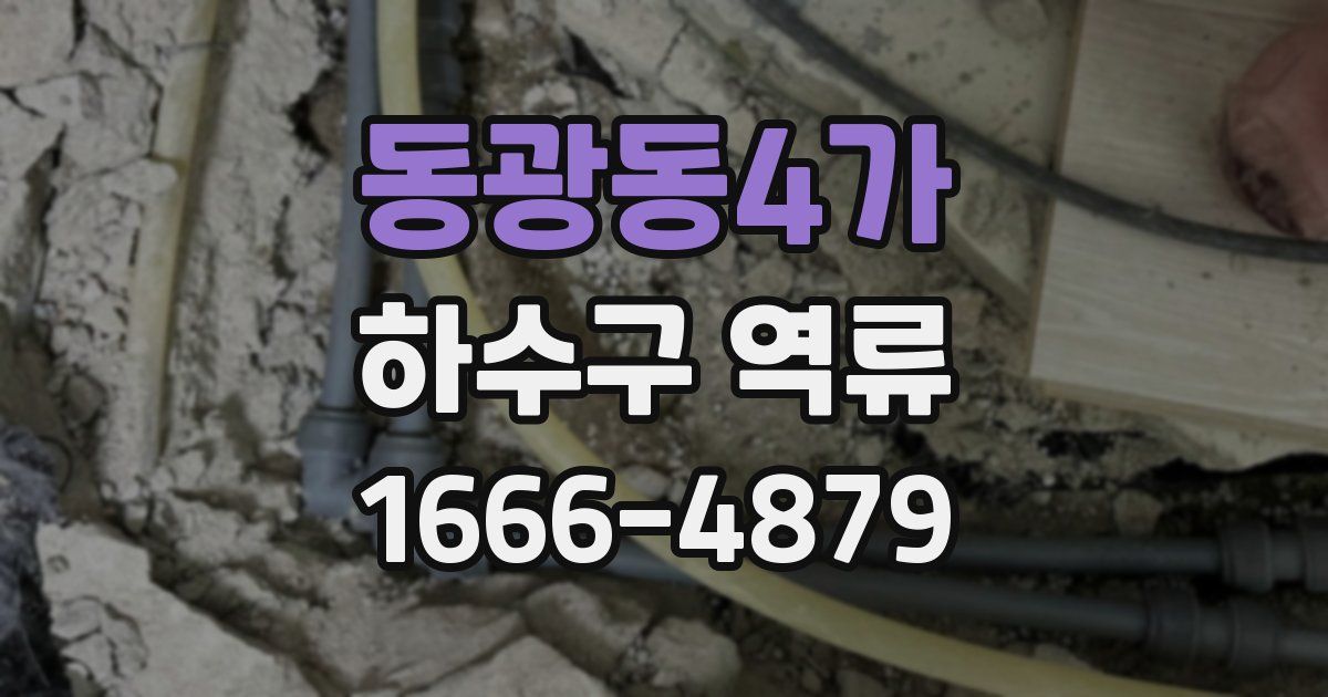 동광동4가 하수구 역류