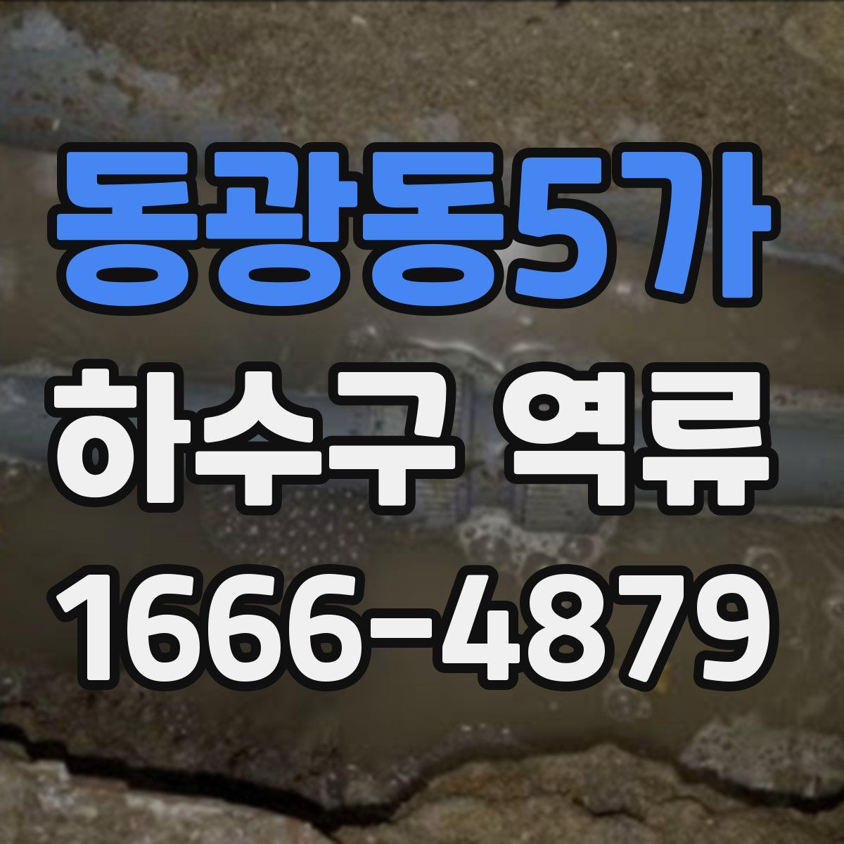 동광동5가 하수구 역류