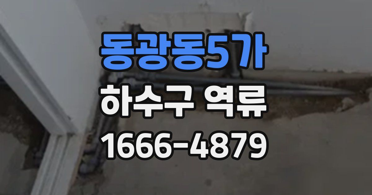 동광동5가 하수구 역류