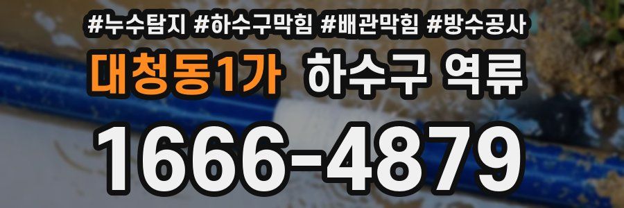 대청동1가 하수구 역류
