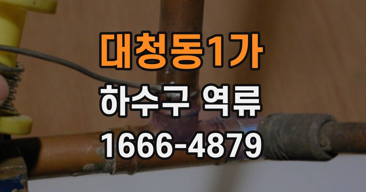 대청동1가 하수구 역류