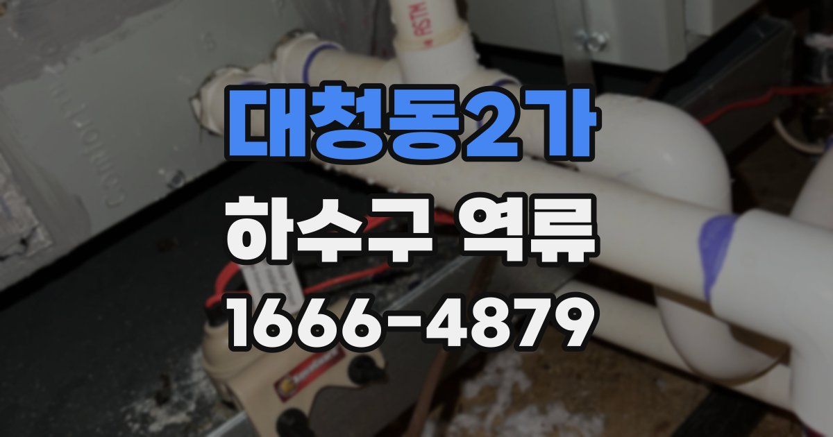 대청동2가 하수구 역류