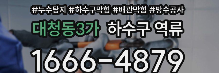 대청동3가 하수구 역류
