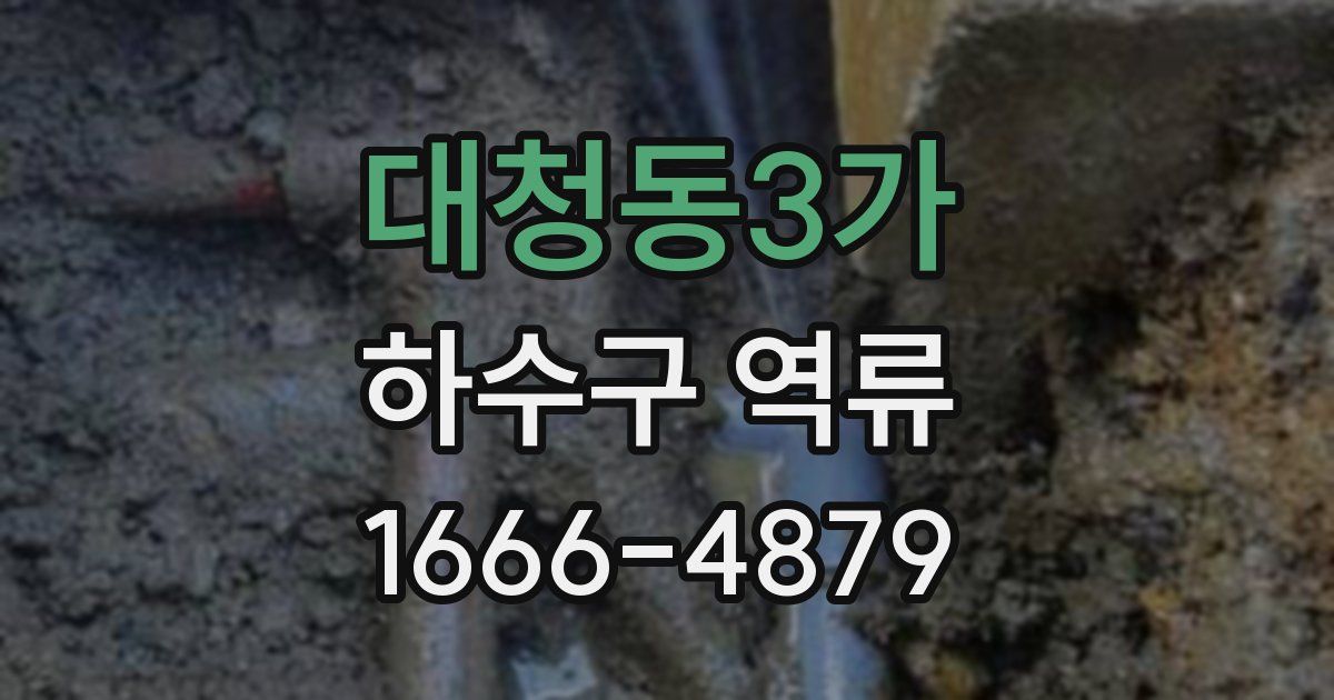 대청동3가 하수구 역류