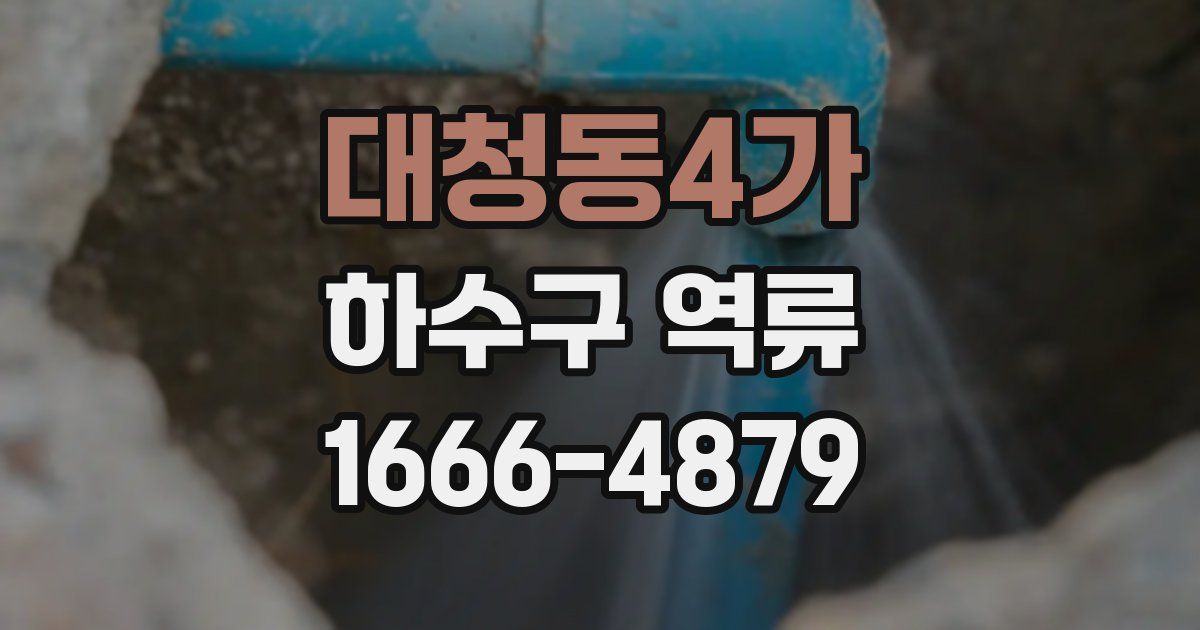 대청동4가 하수구 역류