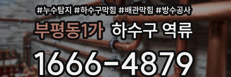 부평동1가 하수구 역류