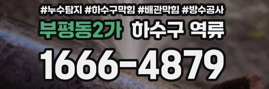 부평동2가 하수구 역류