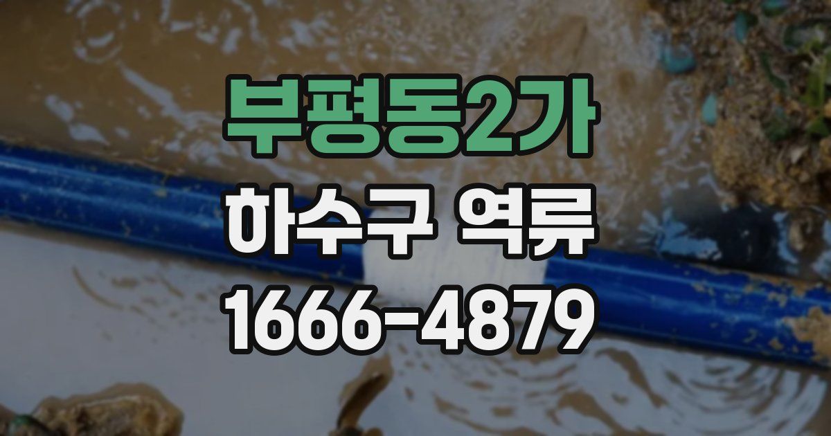 부평동2가 하수구 역류