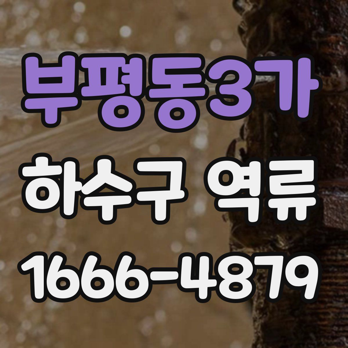 부평동3가 하수구 역류