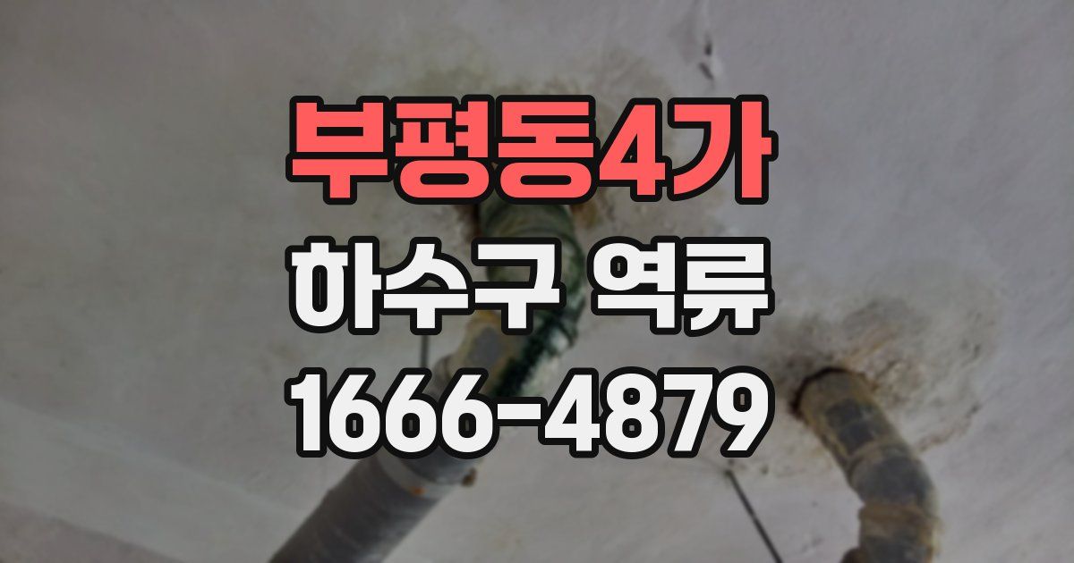 부평동4가 하수구 역류
