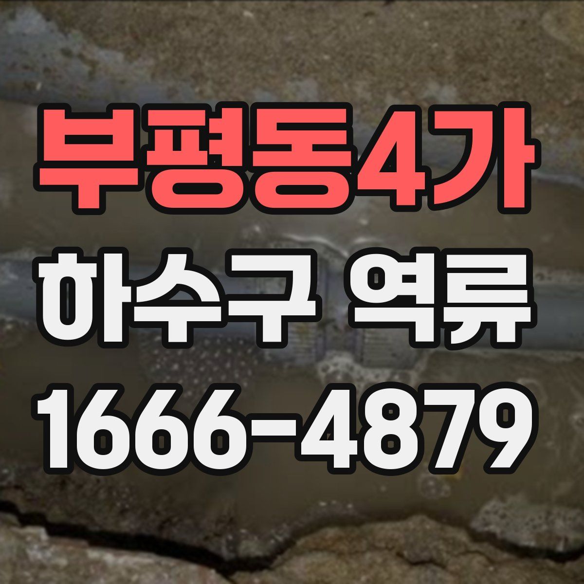 부평동4가 하수구 역류