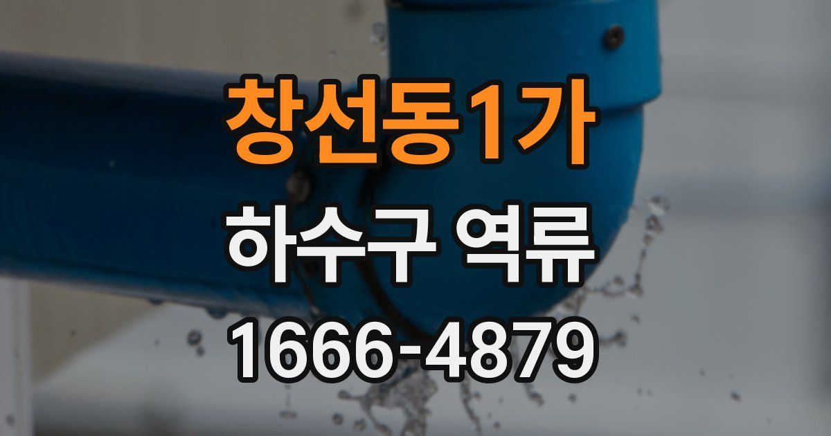 창선동1가 하수구 역류