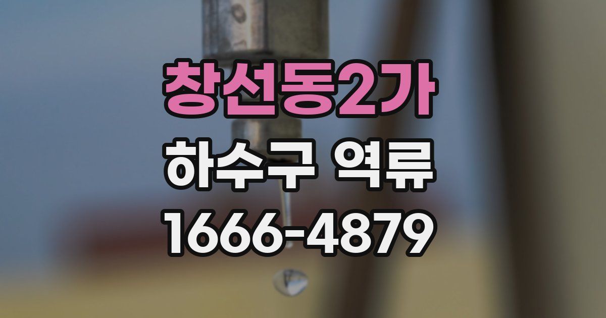 창선동2가 하수구 역류