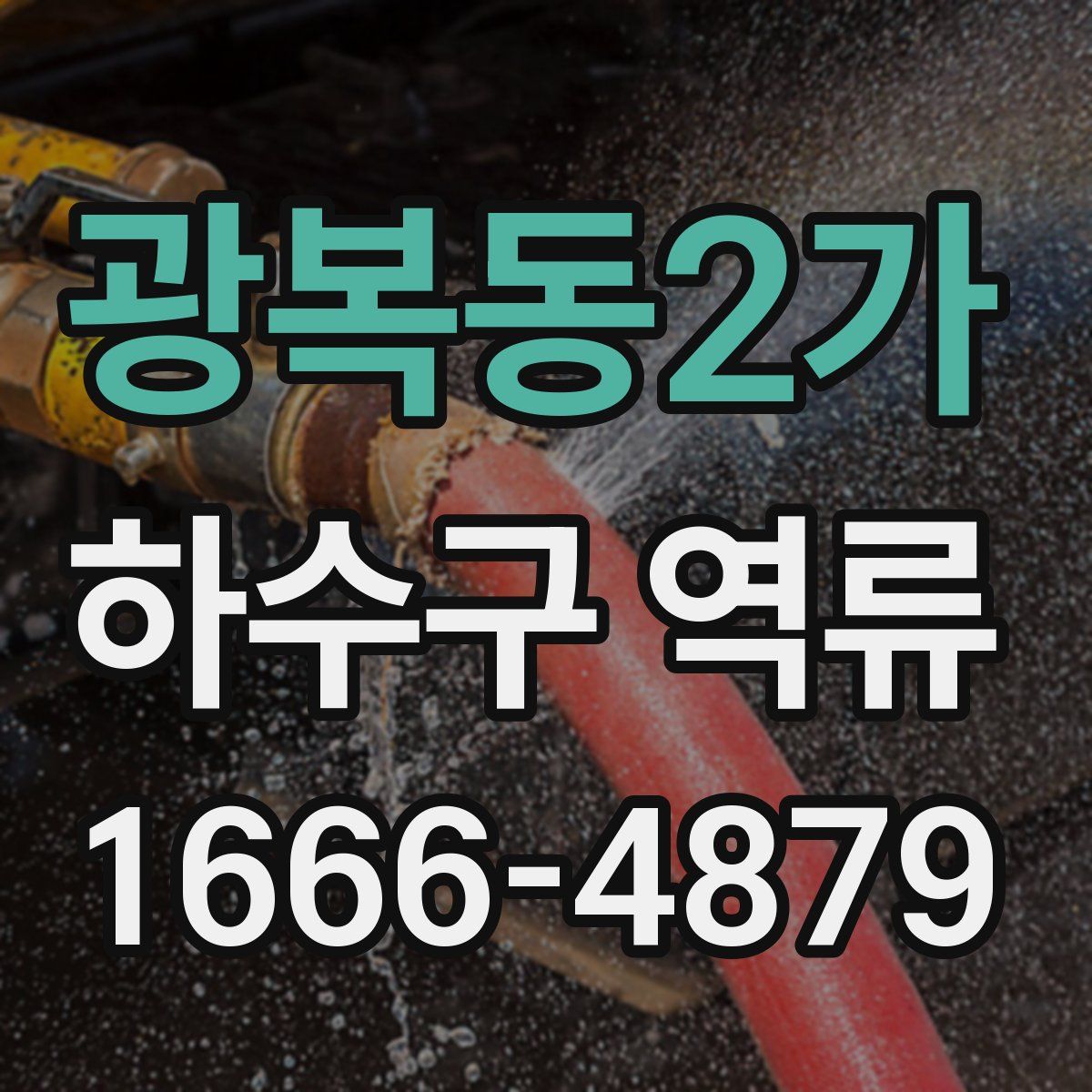 광복동2가 하수구 역류