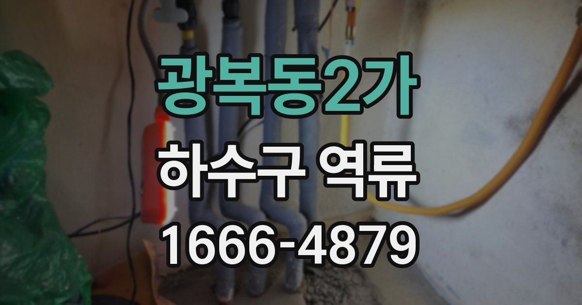 광복동2가 하수구 역류