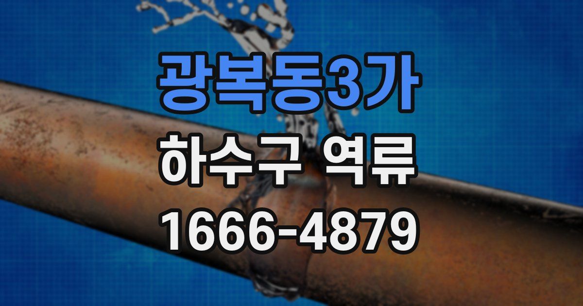 광복동3가 하수구 역류