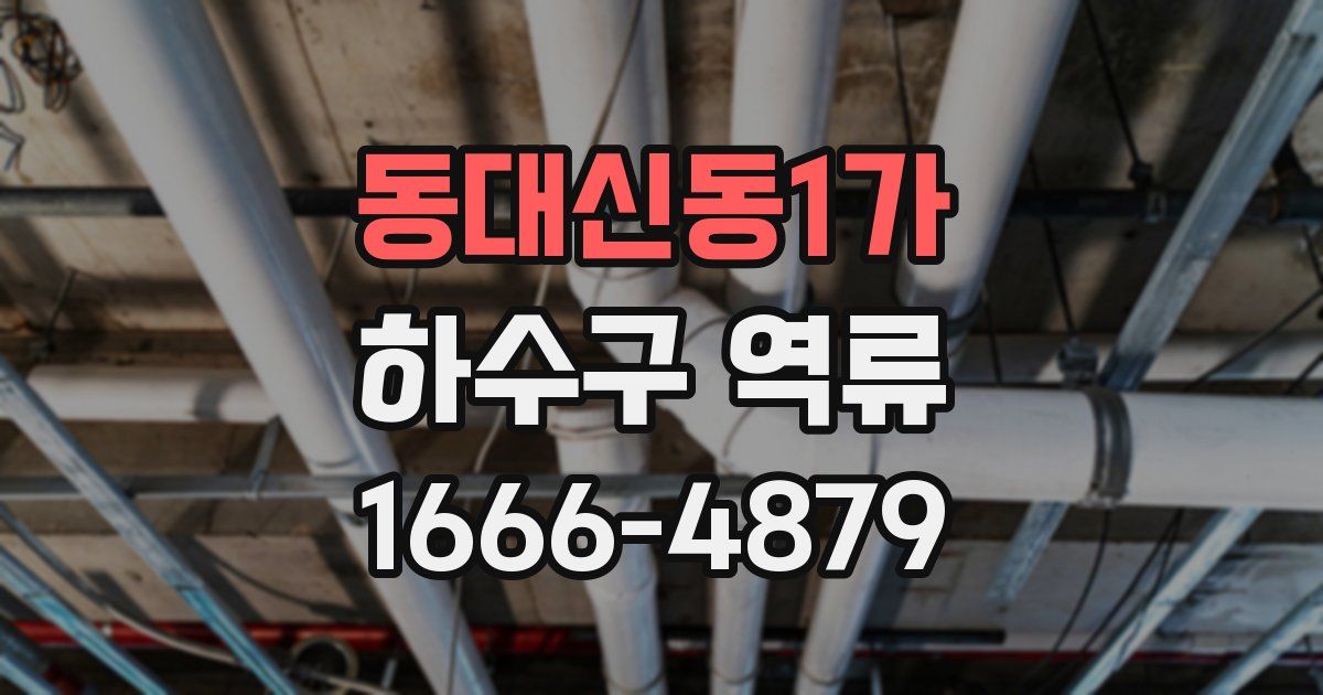 동대신동1가 하수구 역류
