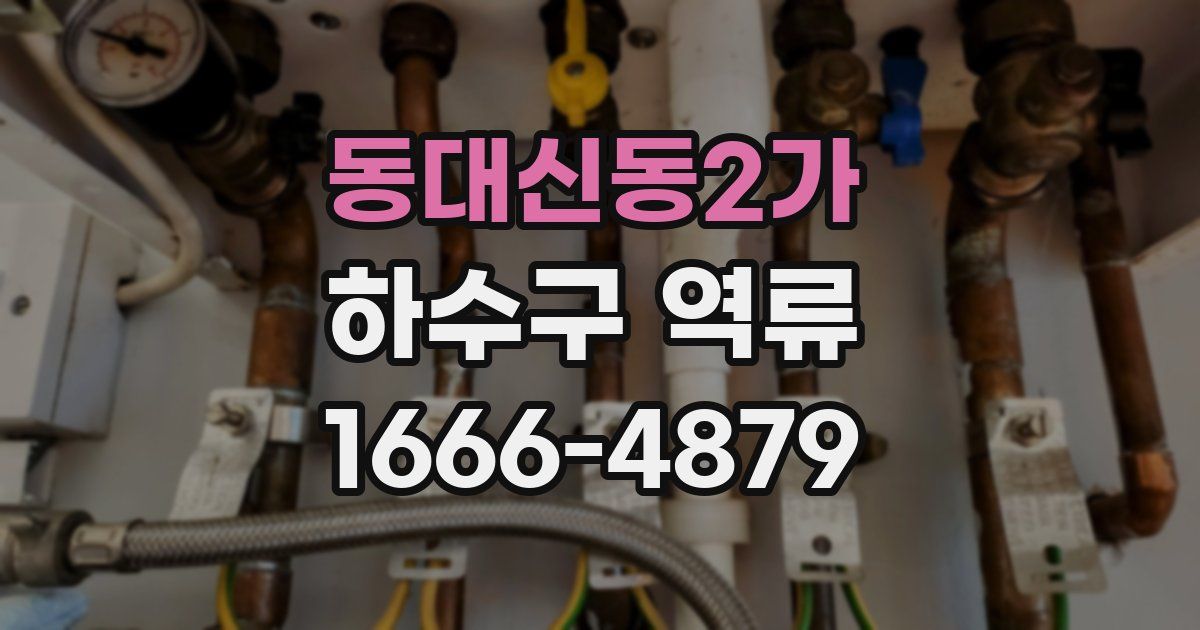 동대신동2가 하수구 역류
