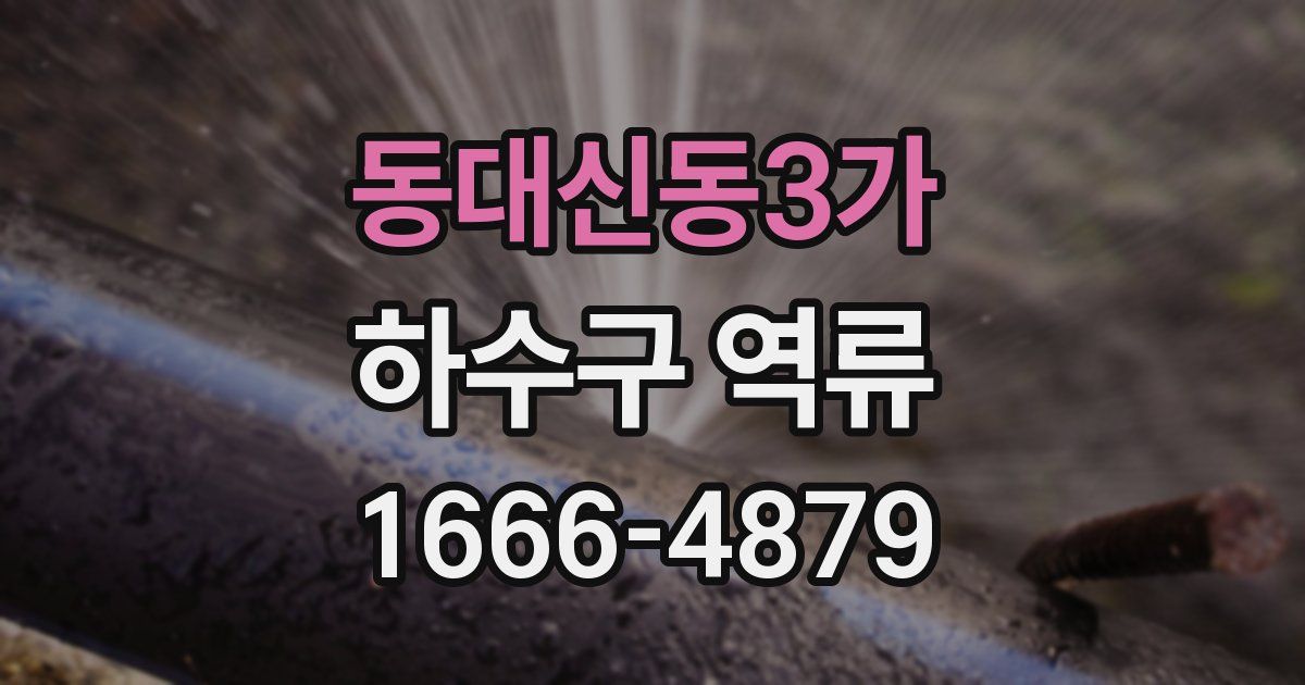 동대신동3가 하수구 역류