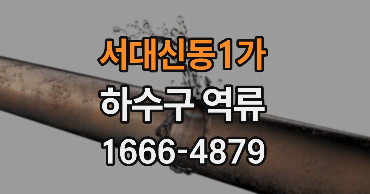 서대신동1가 하수구 역류