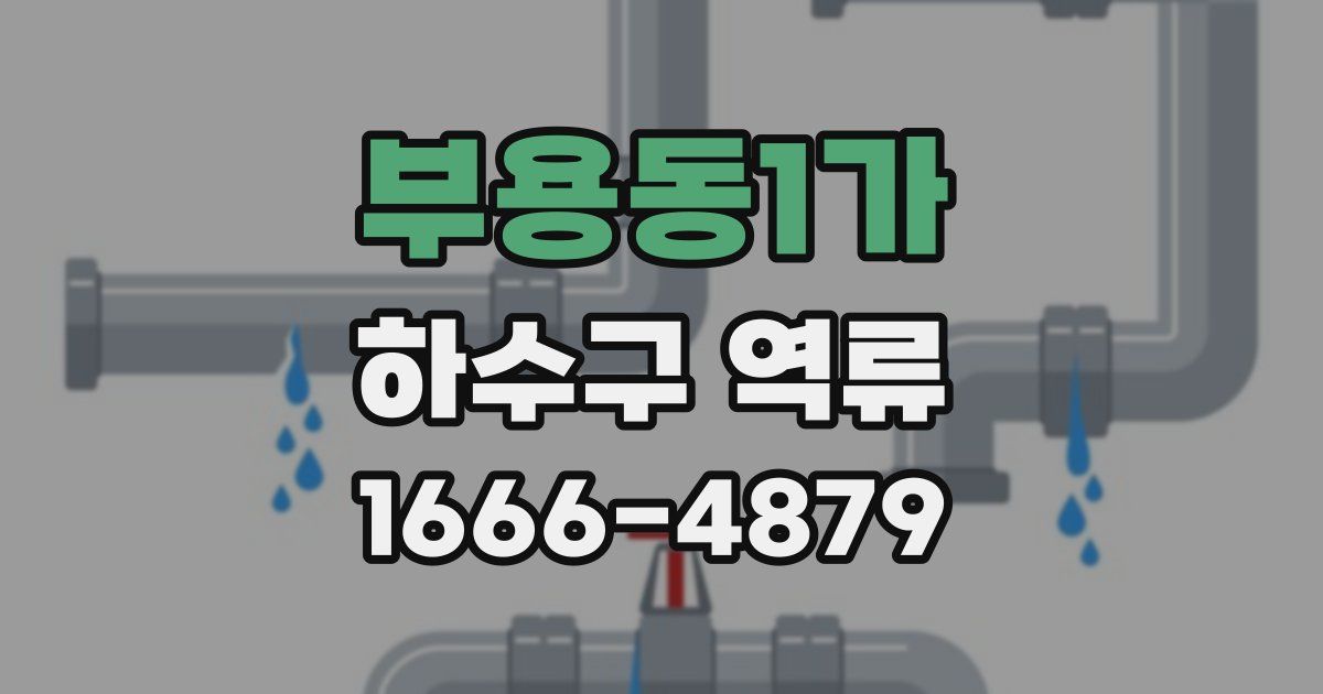 부용동1가 하수구 역류