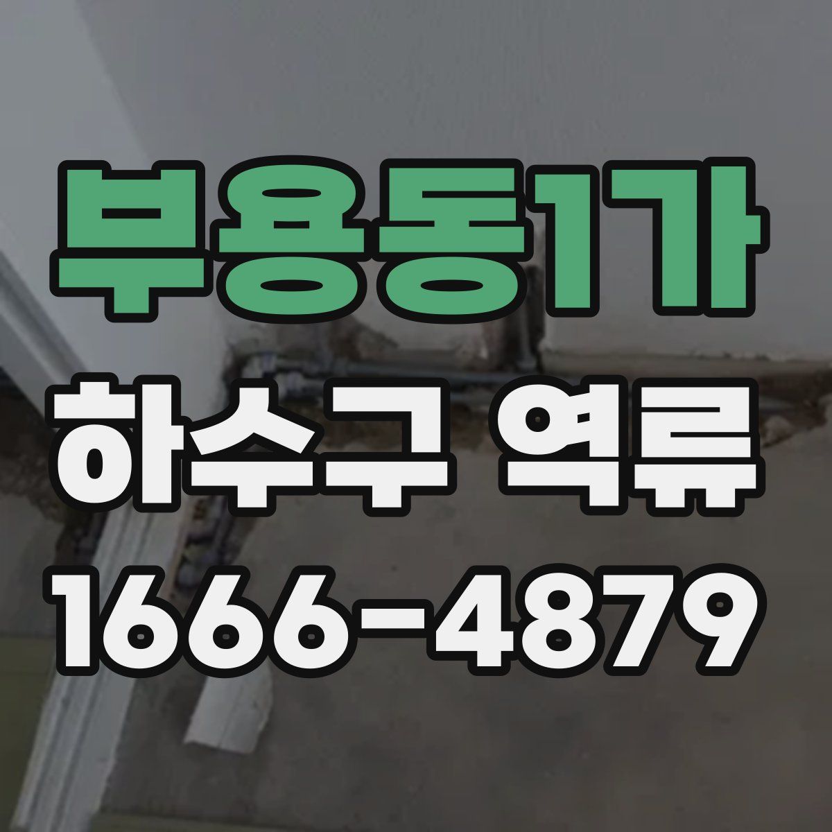 부용동1가 하수구 역류
