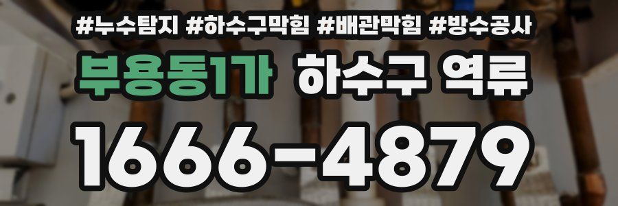 부용동1가 하수구 역류