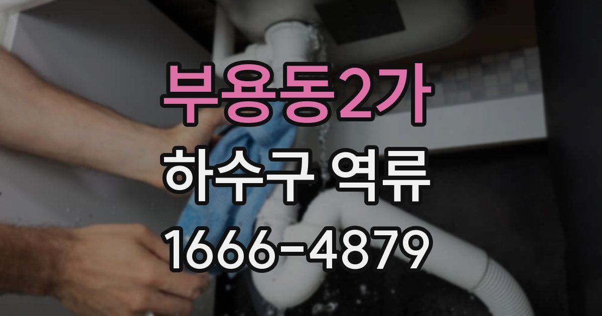 부용동2가 하수구 역류