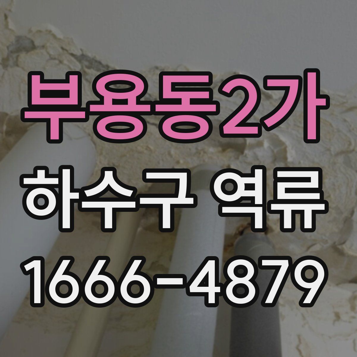 부용동2가 하수구 역류