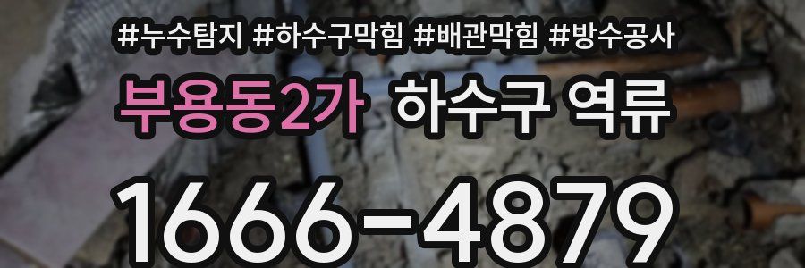 부용동2가 하수구 역류