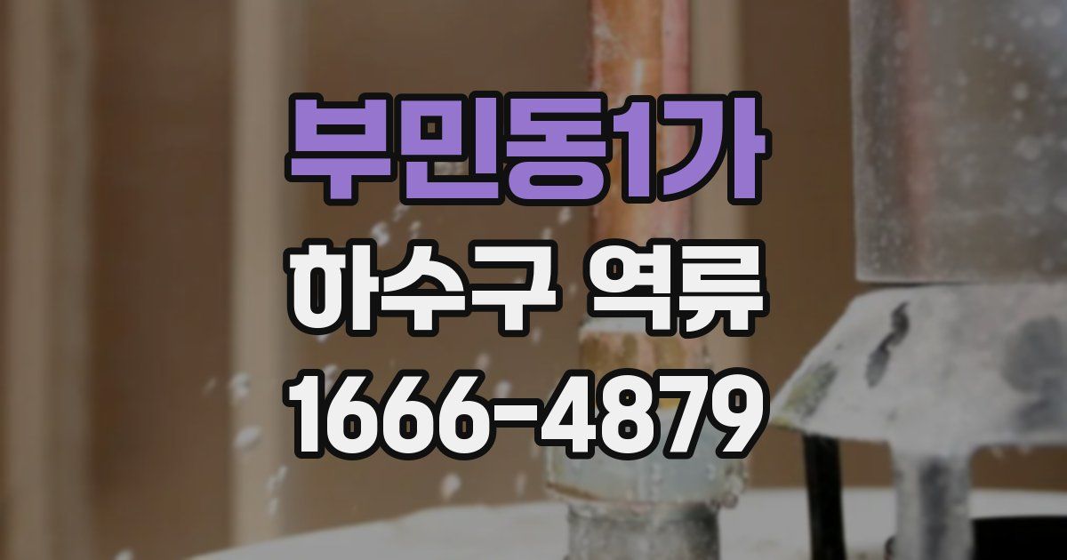 부민동1가 하수구 역류