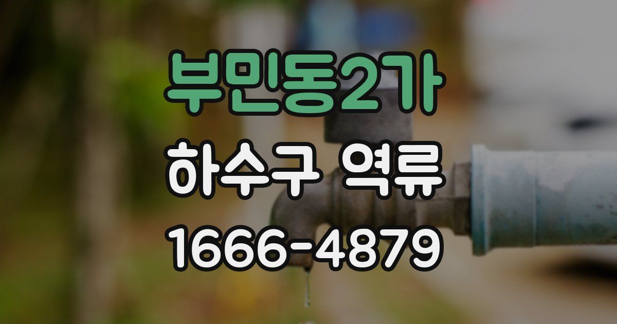 부민동2가 하수구 역류