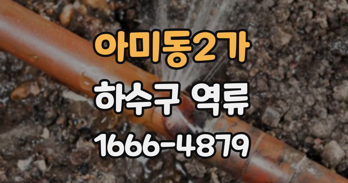 아미동2가 하수구 역류