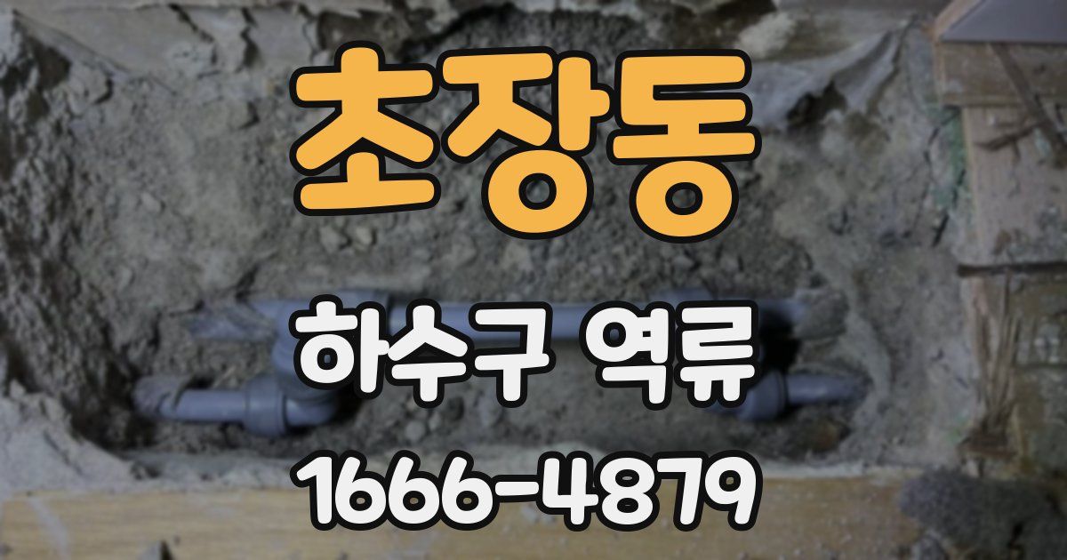 초장동 하수구 역류