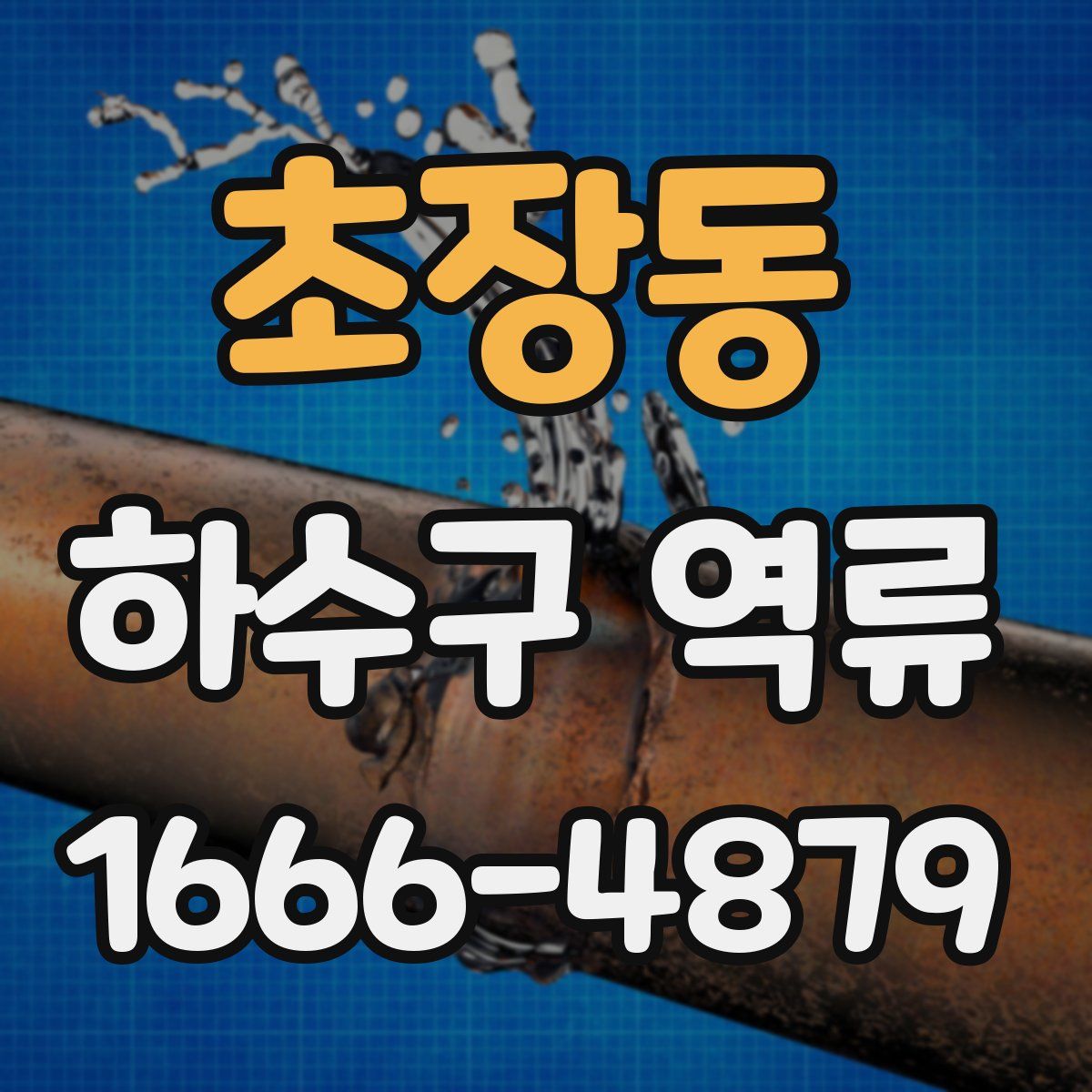 초장동 하수구 역류