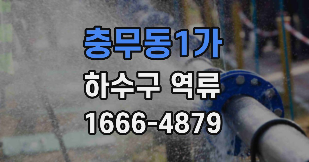 충무동1가 하수구 역류
