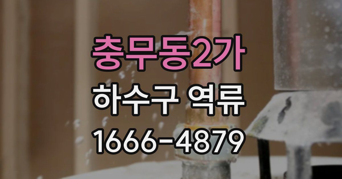 충무동2가 하수구 역류