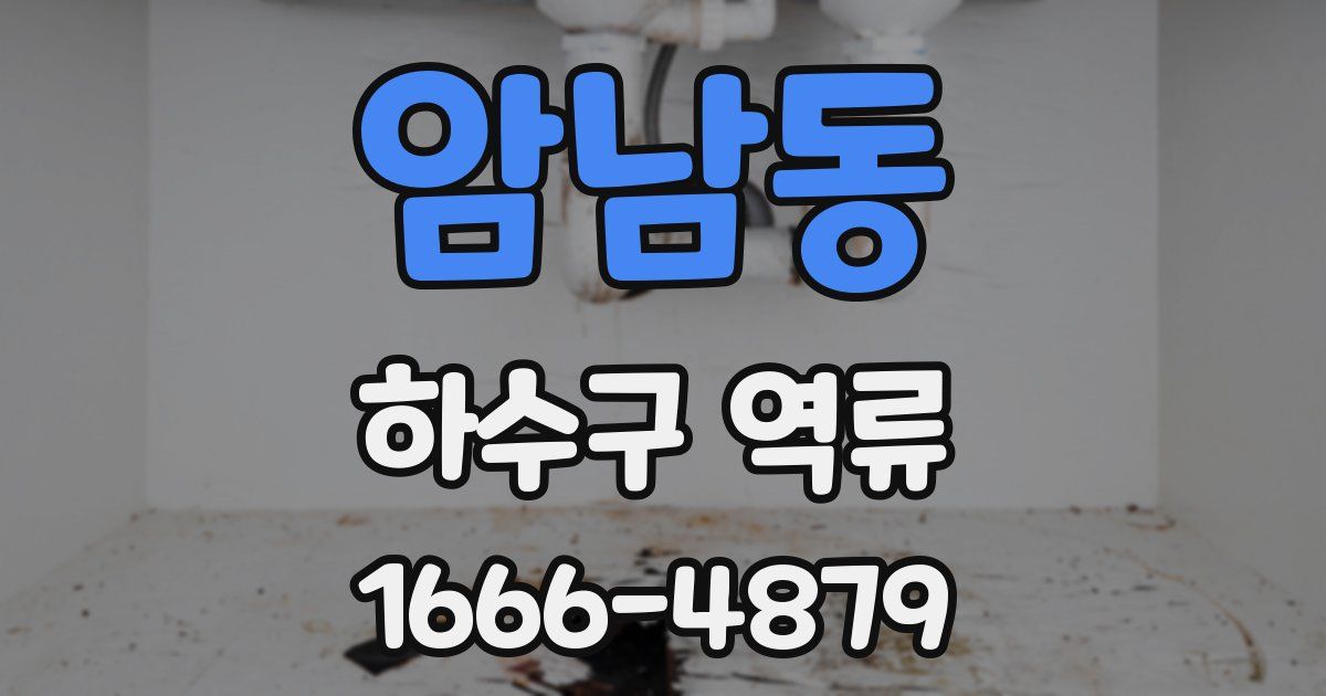 암남동 하수구 역류