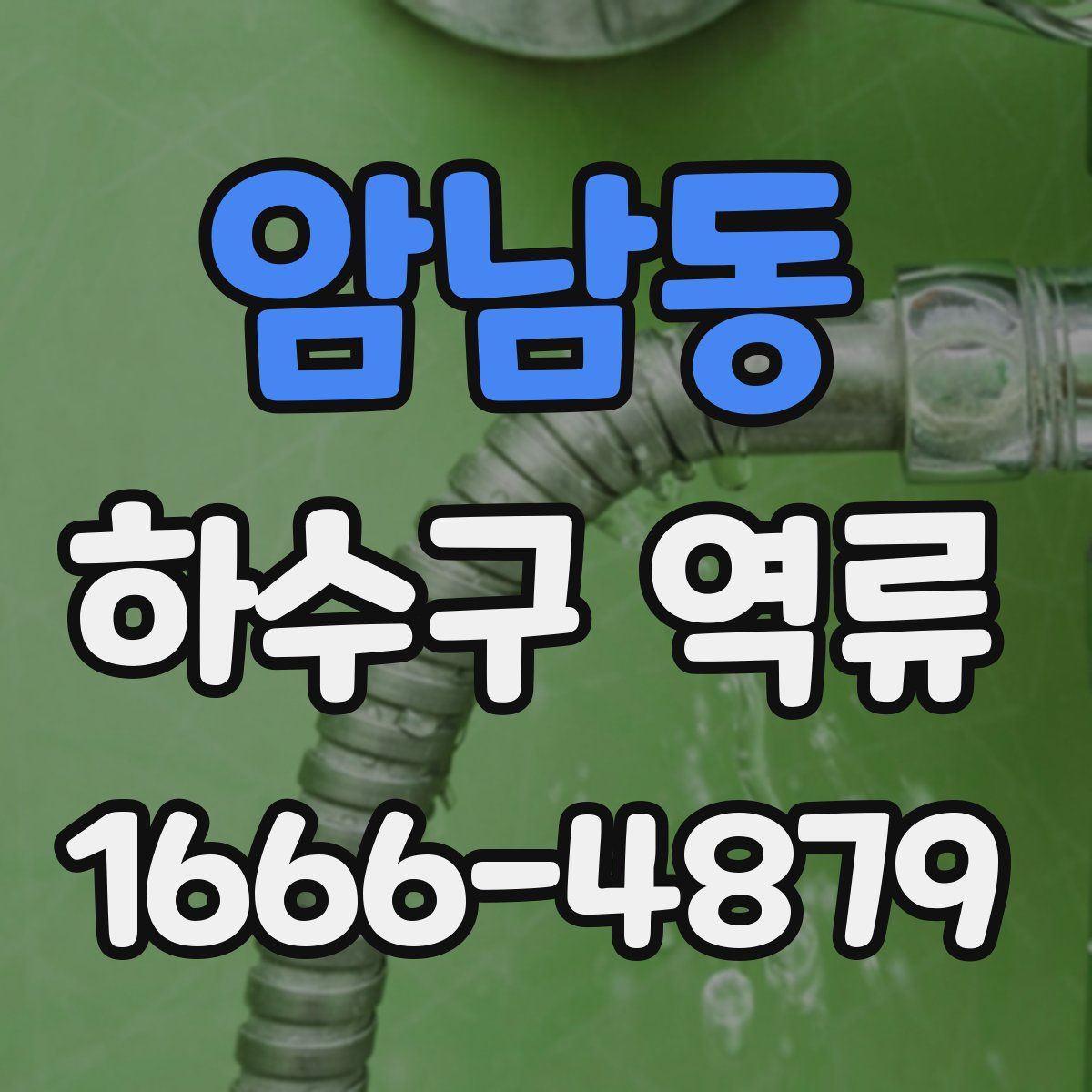 암남동 하수구 역류
