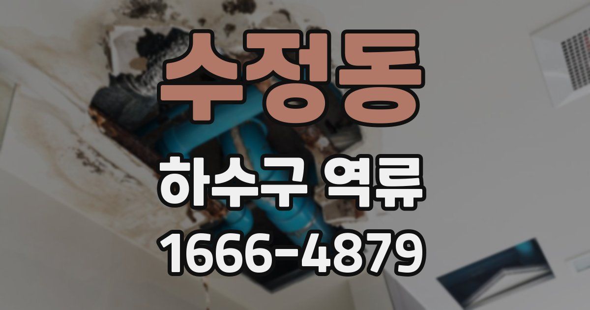 수정동 하수구 역류
