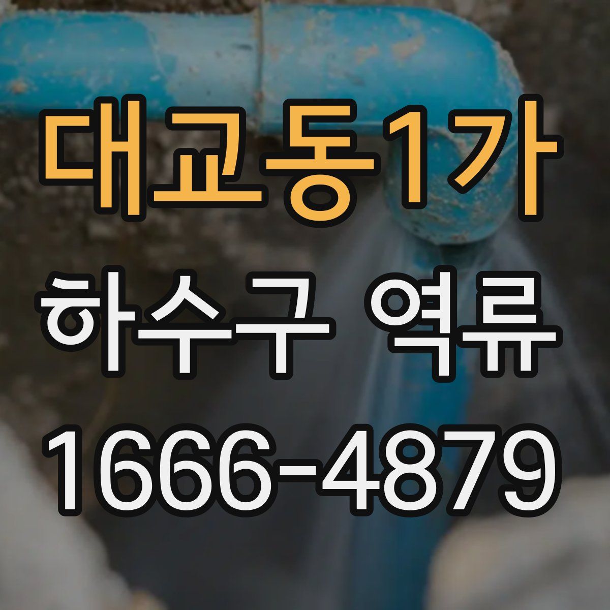 대교동1가 하수구 역류