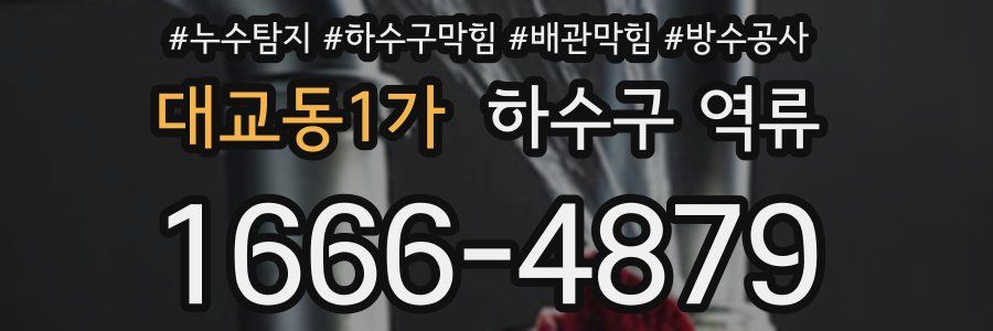 대교동1가 하수구 역류