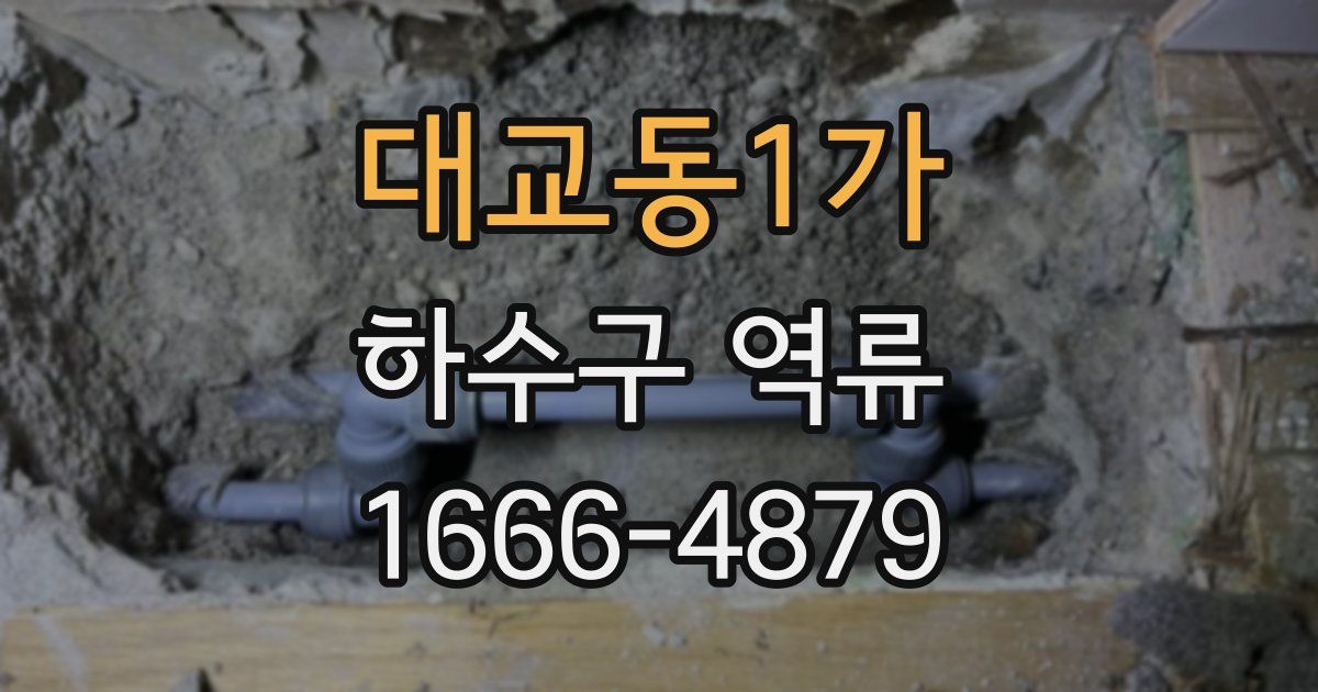 대교동1가 하수구 역류