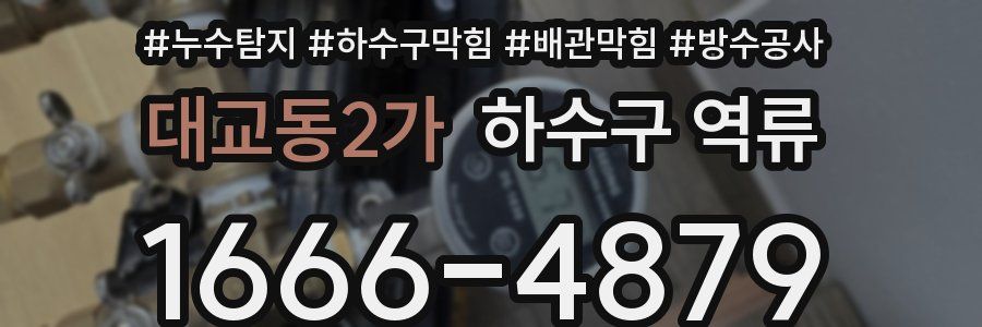 대교동2가 하수구 역류