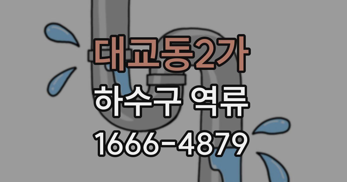 대교동2가 하수구 역류