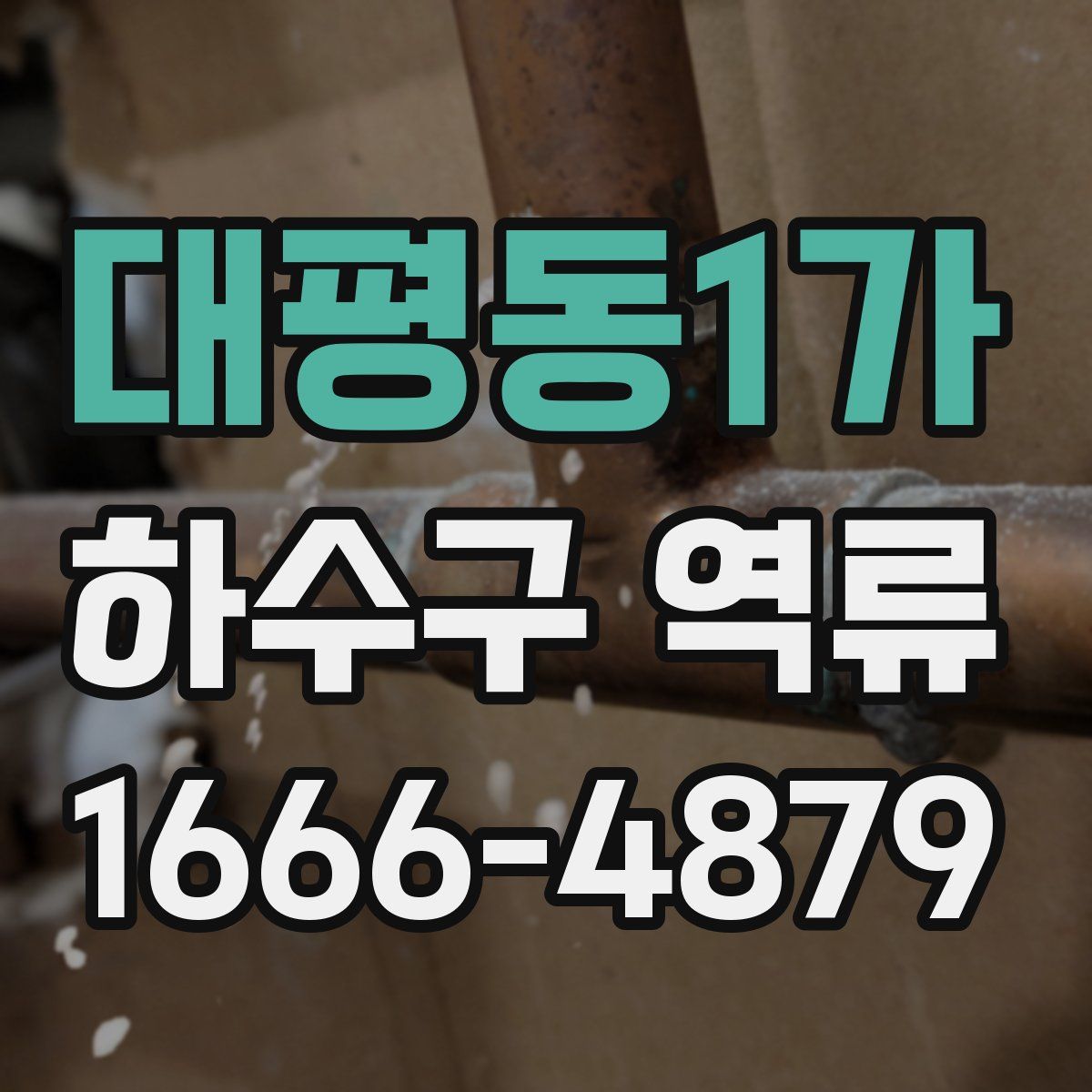 대평동1가 하수구 역류