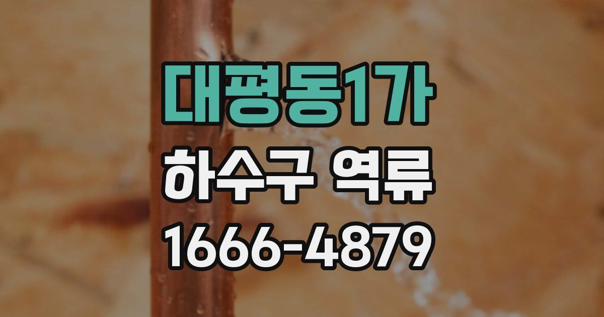 대평동1가 하수구 역류