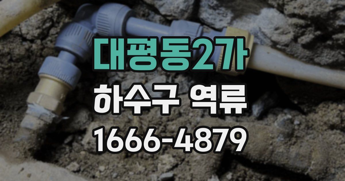 대평동2가 하수구 역류